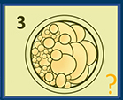 EmbryoScope