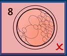 EmbryoScope