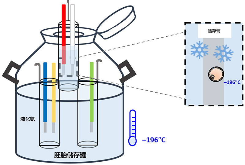 Embryo containers