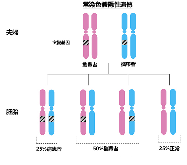 常染色體隱性遺傳病