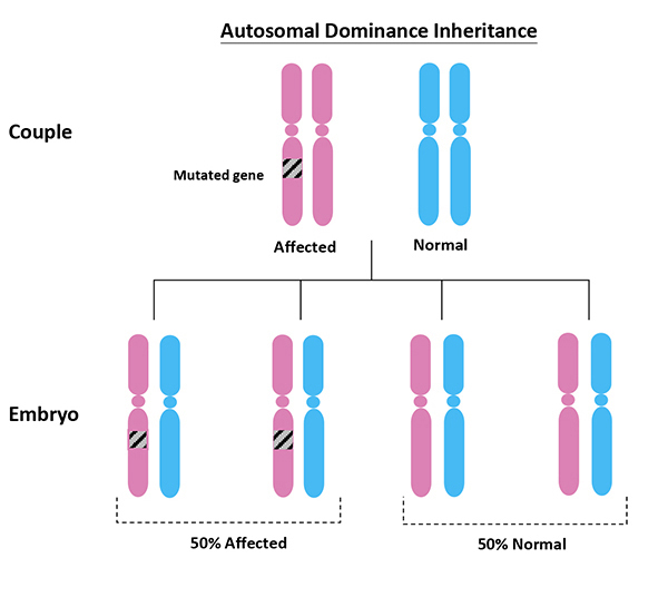 Autosomal Dominant Disorder