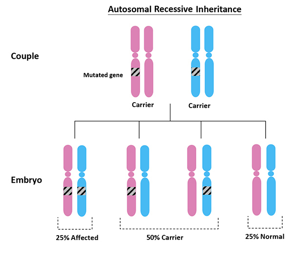 Autosomal Recessive Disorder