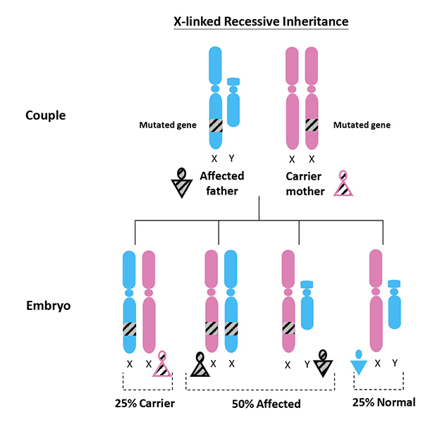 X-linked Recessive Disorder