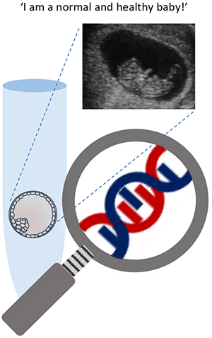 Pre-implantation Genetic Testing (PGT)