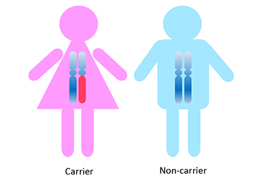 Pre-implantation Genetic Testing for Monogenic / Single Gene Disorders (PGT-M) 