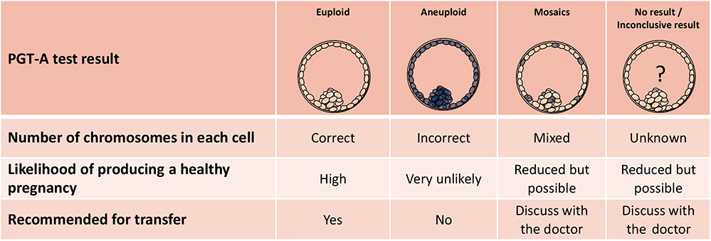 PGT-A test result