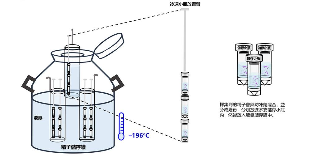 Testicular sperm extraction